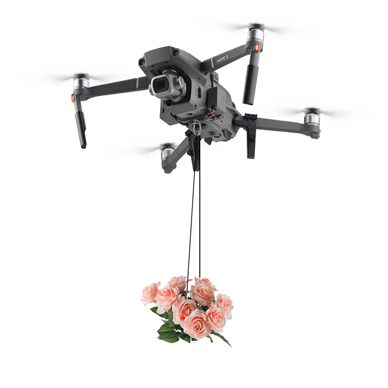 DJI Mavic 2 Pro/Zoom Drone Rin - Drone Dji Rc Pro 리뷰 및 가격